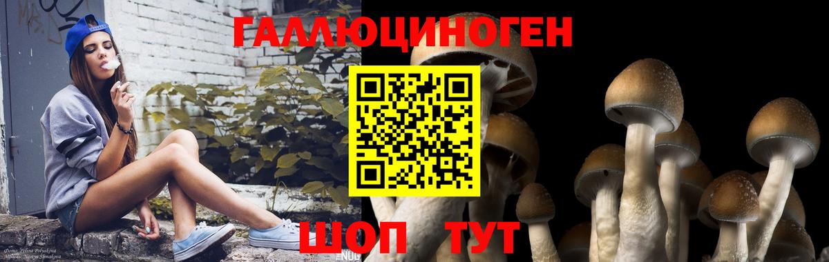 Псилоцибиновые грибы GOLDEN TEACHER  Вход с VPN  где купить наркоту  Когалым 